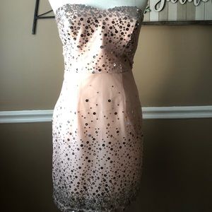 Strapless Light Pink Sequin Dress